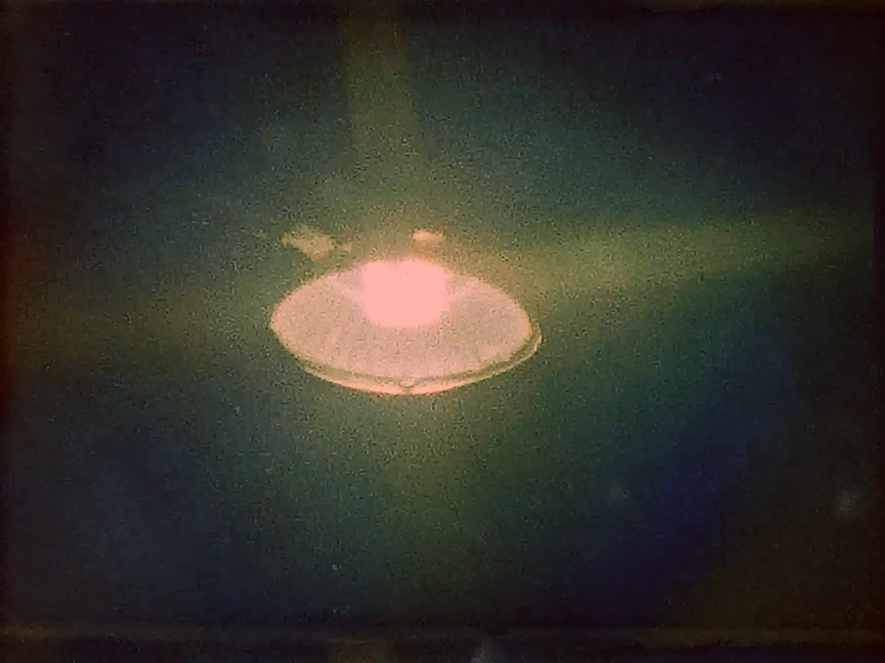 Still from waiting sheds the life off a moth