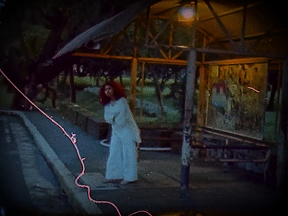 Still from waiting sheds the life off a moth