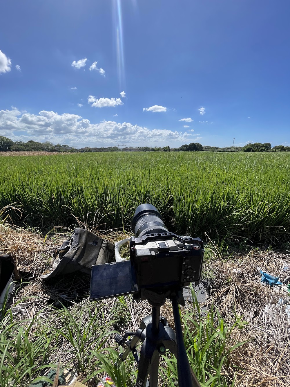 Behind the scenes from Ang Saad Nga Bugas