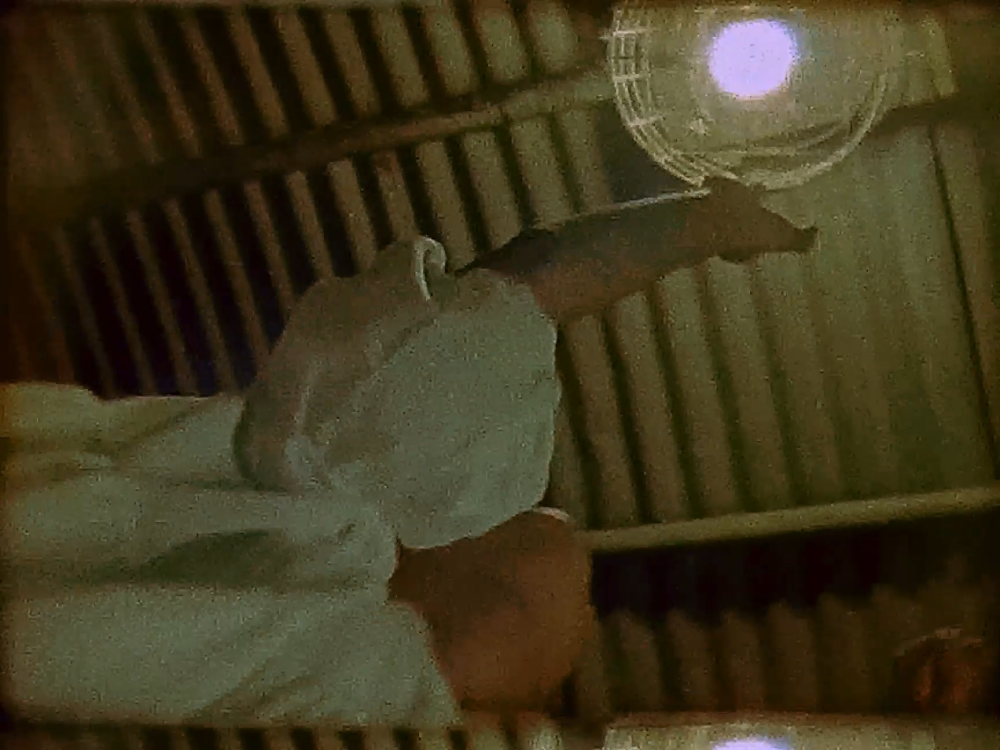 Still from waiting sheds the life off a moth